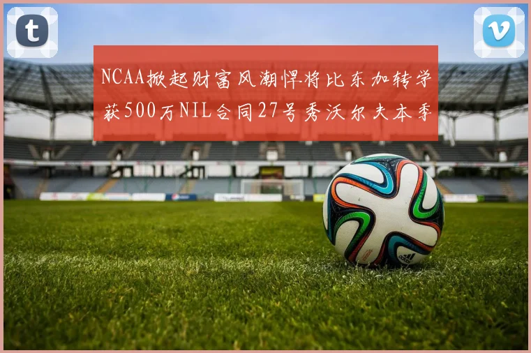 NCAA掀起财富风潮悍将比东加转学获500万NIL合同27号秀沃尔夫本季收入280万